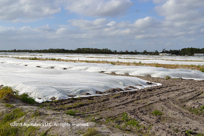 Choose convenient rolls for row crops.