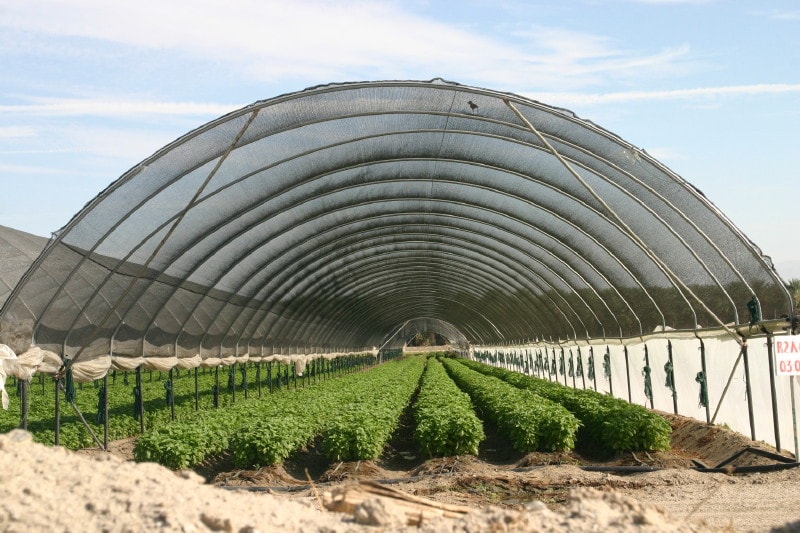 GIDCO Ag. hoop house installation