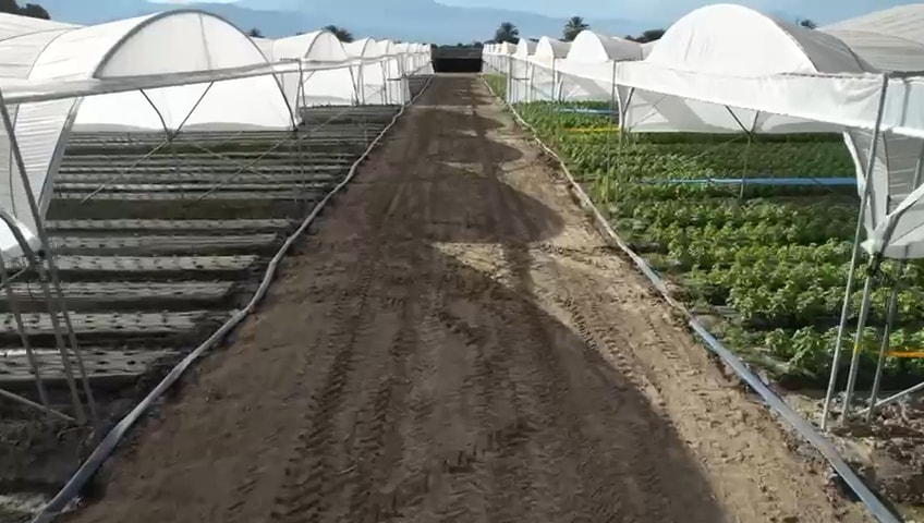 Hoop Houses