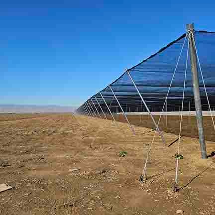 Shade Structures