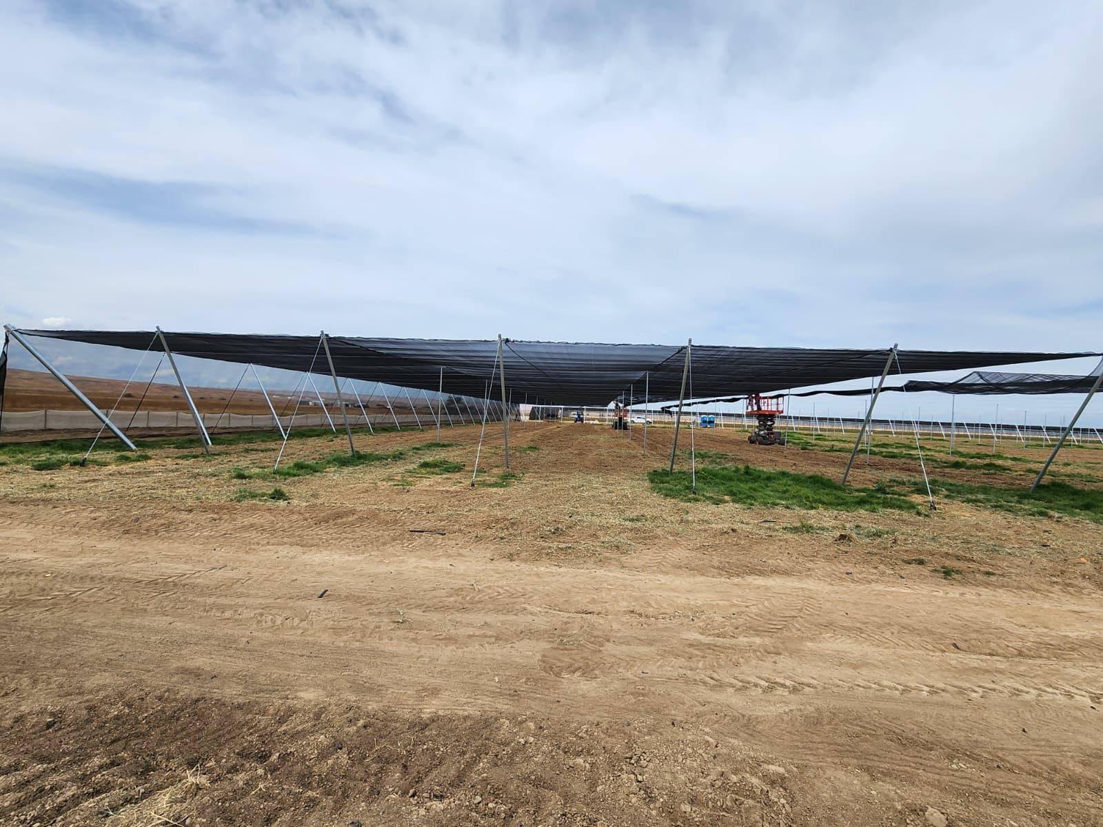 10 Acres Shade Structure