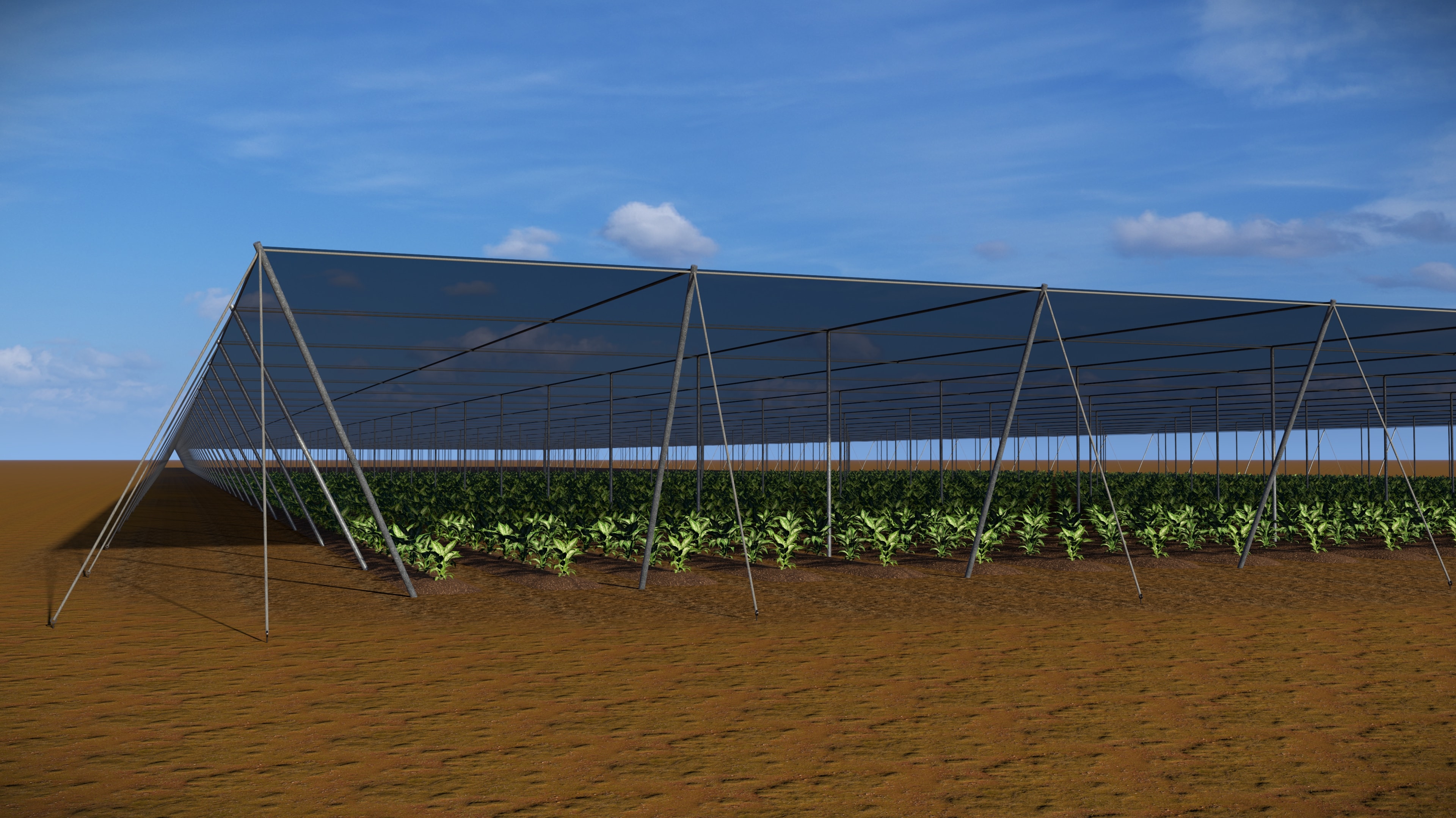 30% Shade Structure