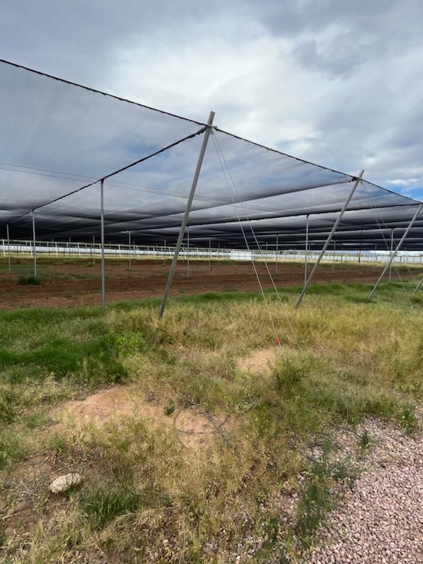 Arizona Project — Large Shade Structure