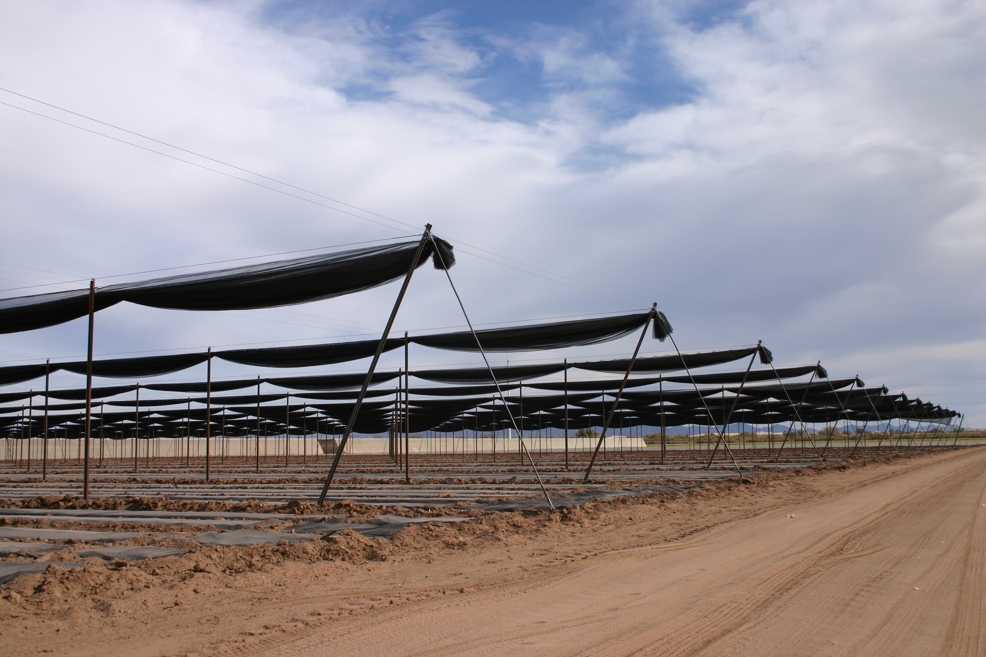 Retractable Shade for Row Crops