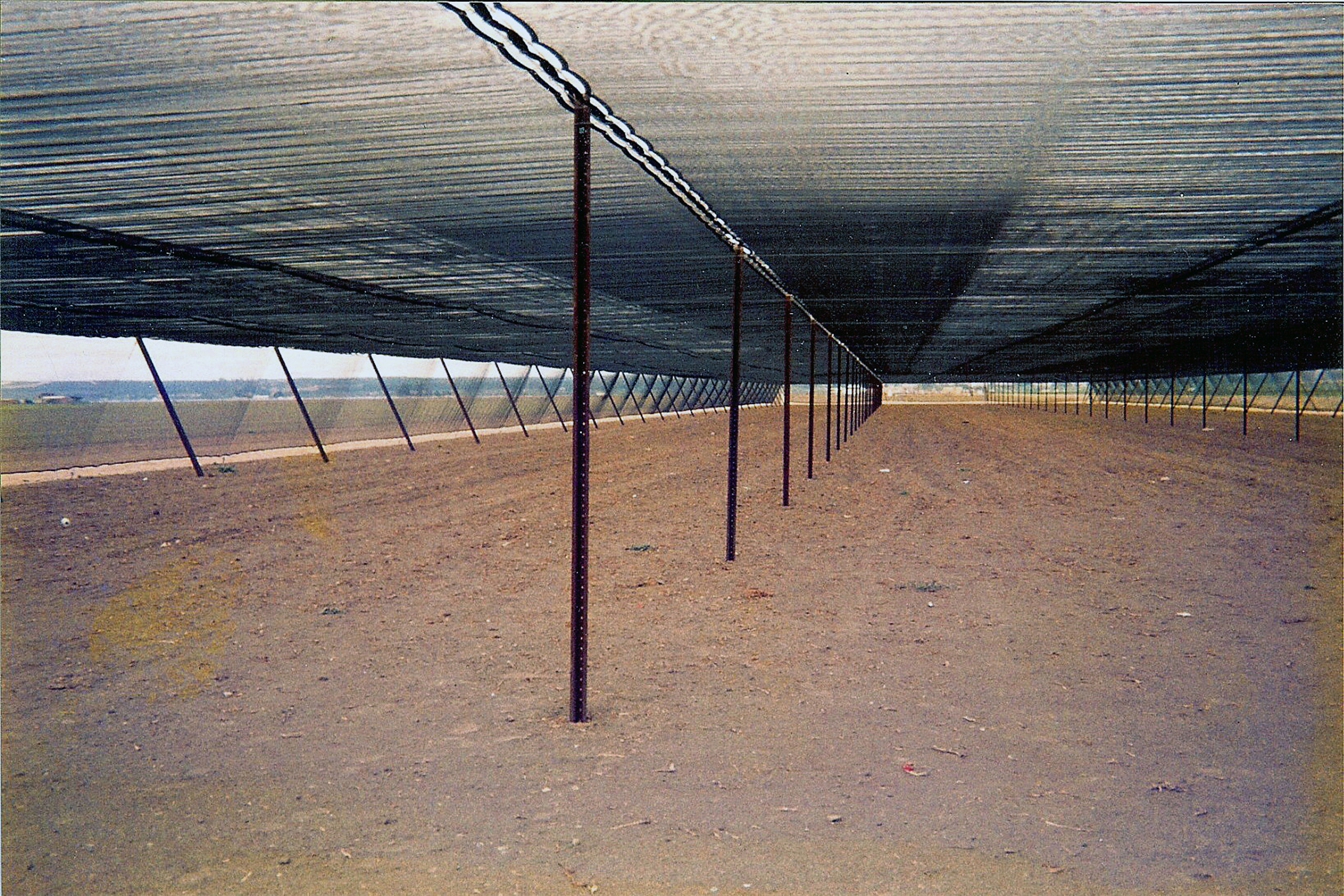 Tulips — Dual Layer Shade Structure (Fixed and Retractable)