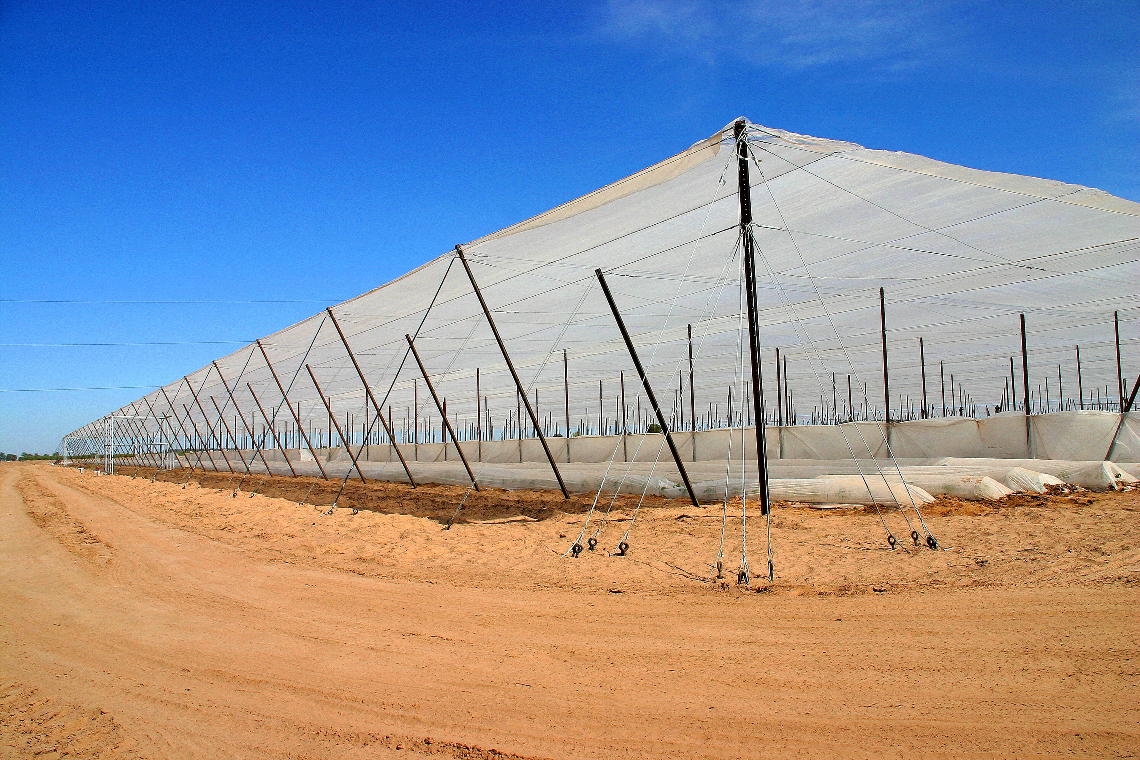 50 Mesh Screen Structure Before Applying the Sidewalls