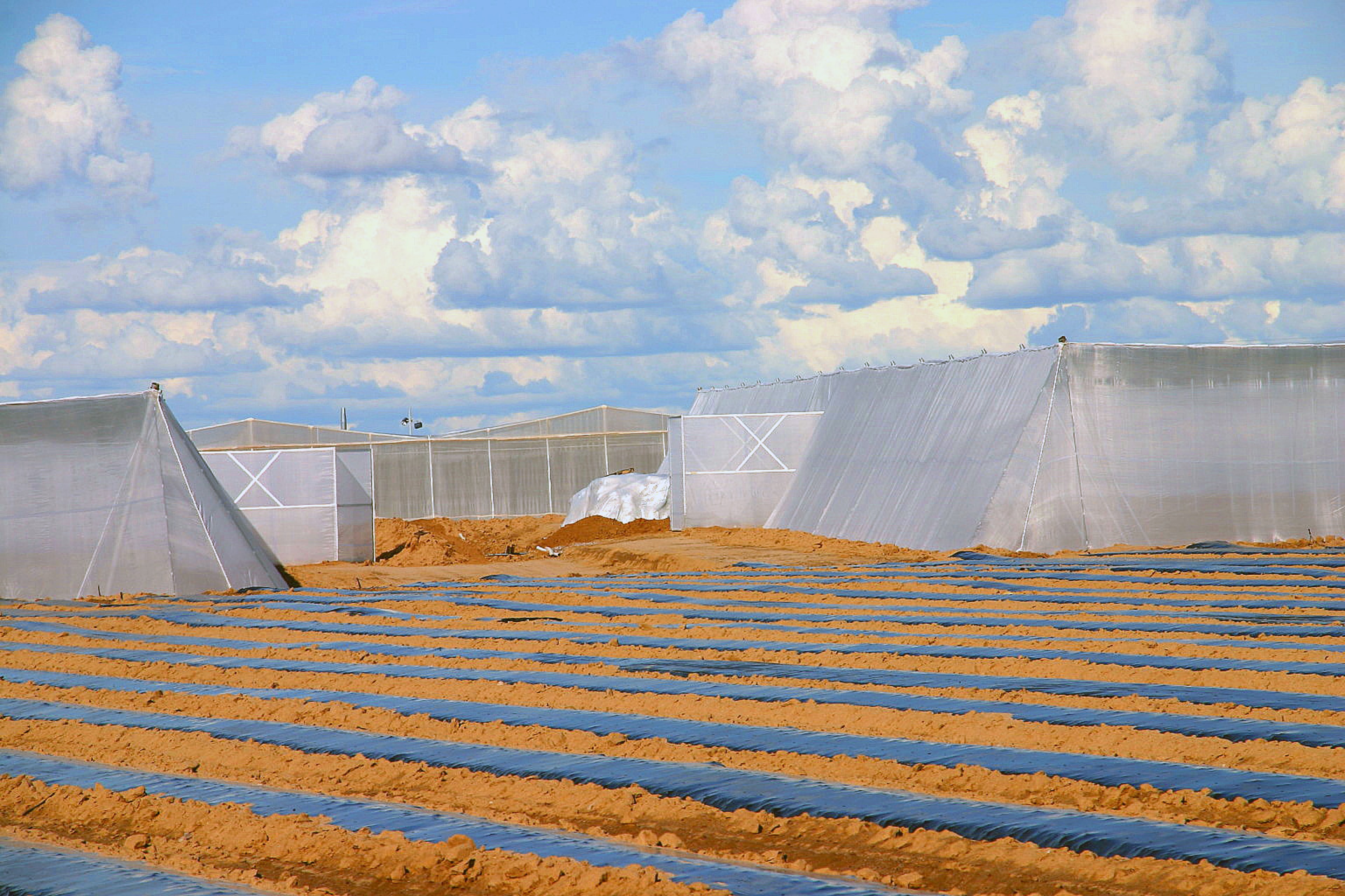 Overview of Several Screen Structures and Greenhouses