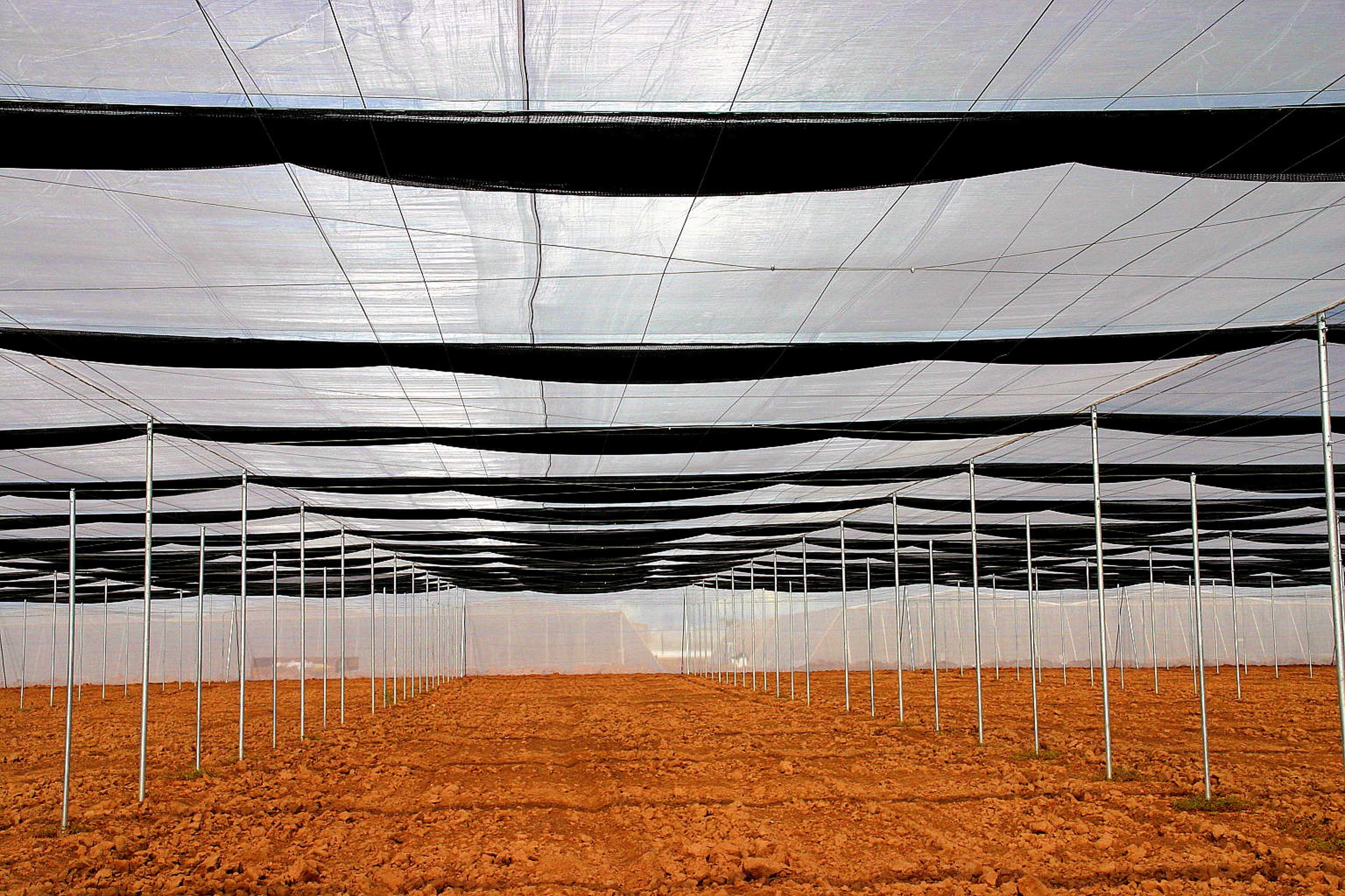 Screen Structure with Retractable Shade and Trellis