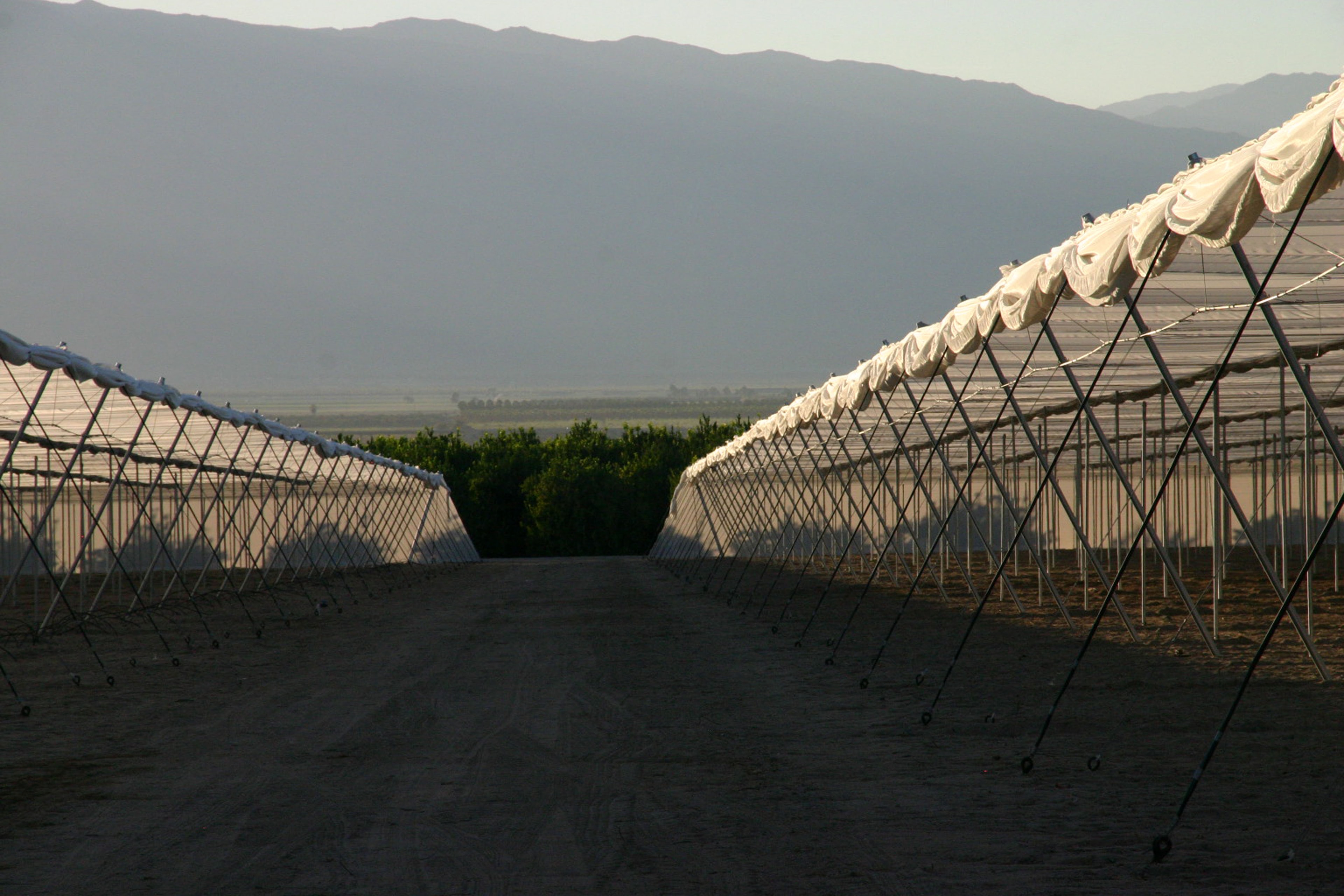 Screen Structures with Sidewalls Rolled Up