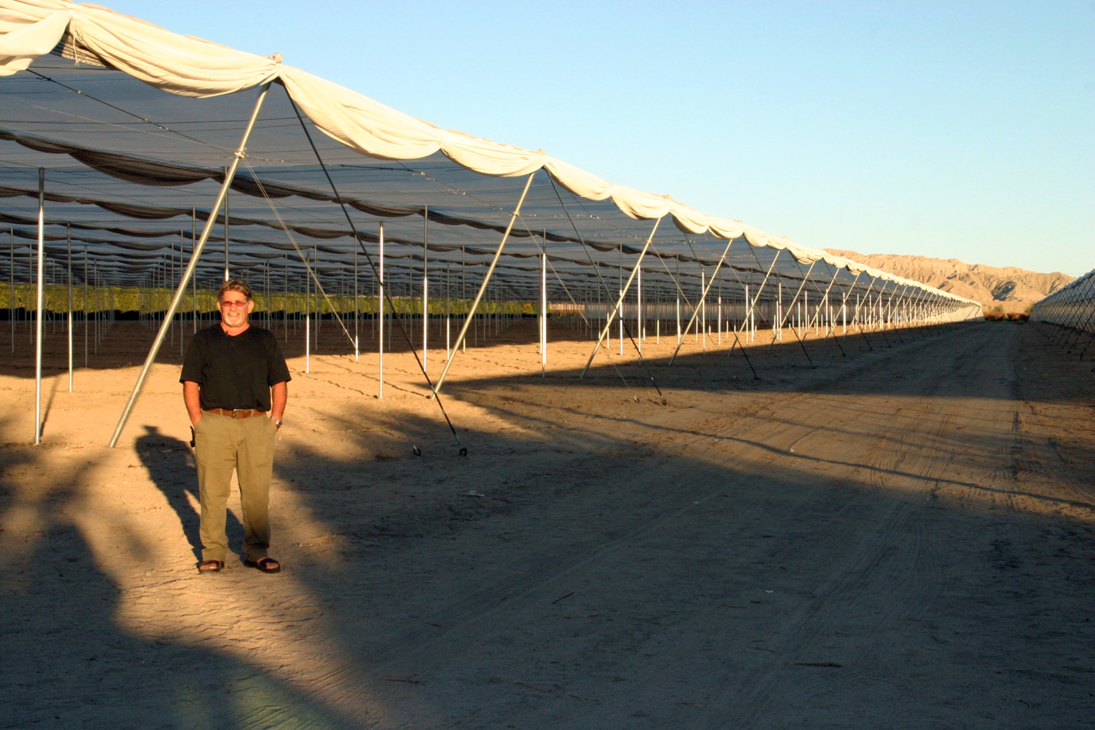 Screen Structure with Retractable Shade