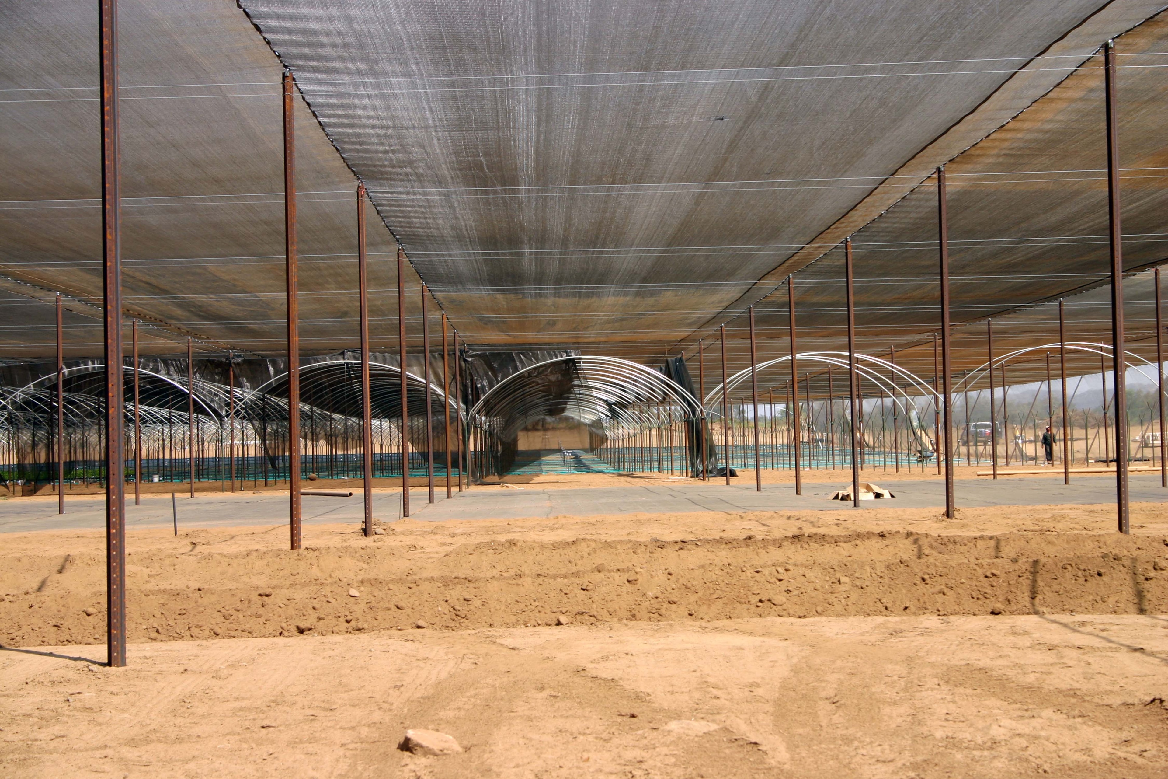Shade Structure with Hoops Underneath