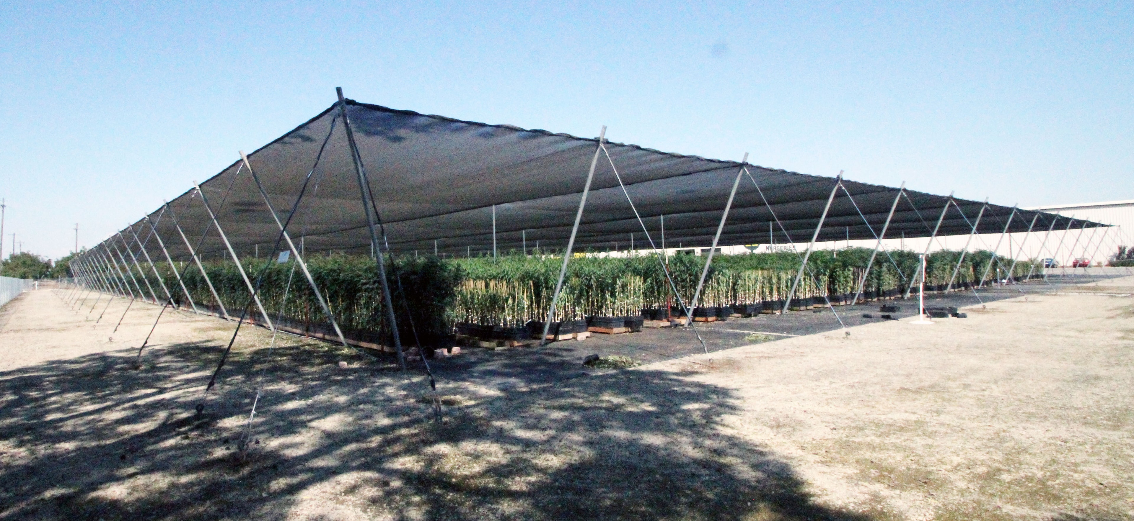 Tree Nursery Shade