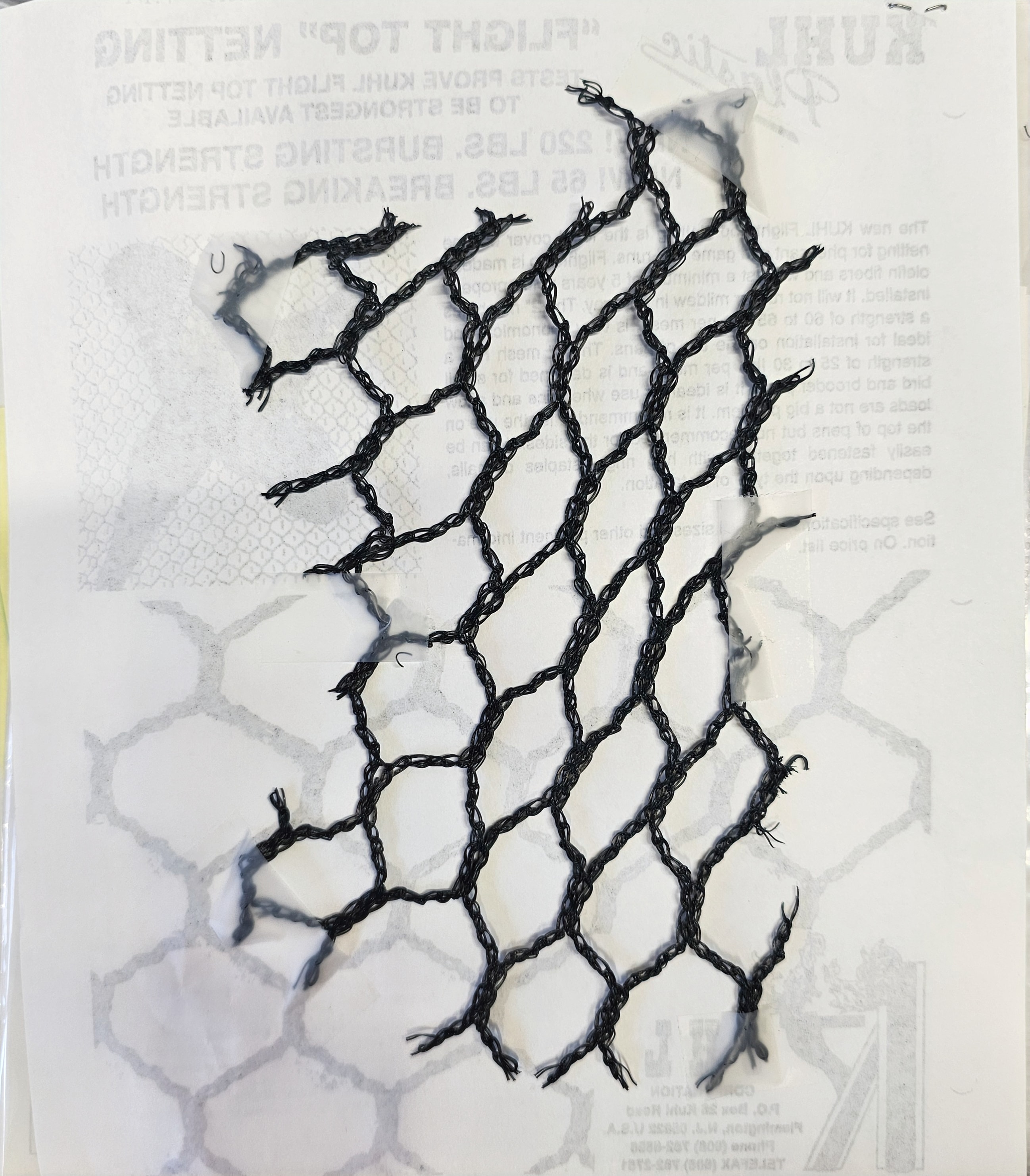 Bird Netting