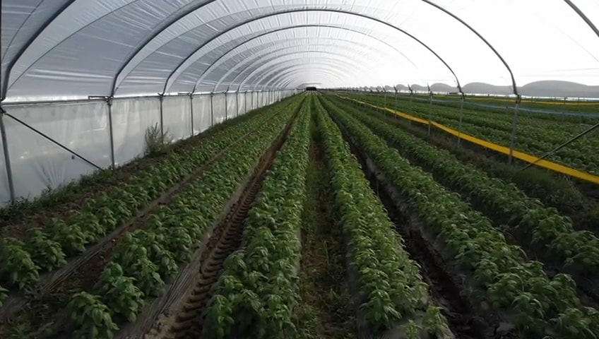10 Acres Hoop Houses — Interior
