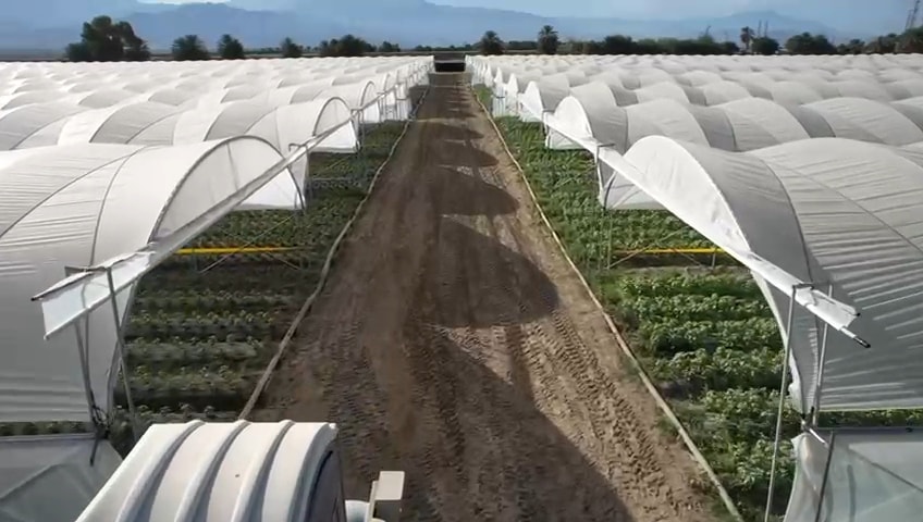 10 Acres Hoop Houses — Exterior Row