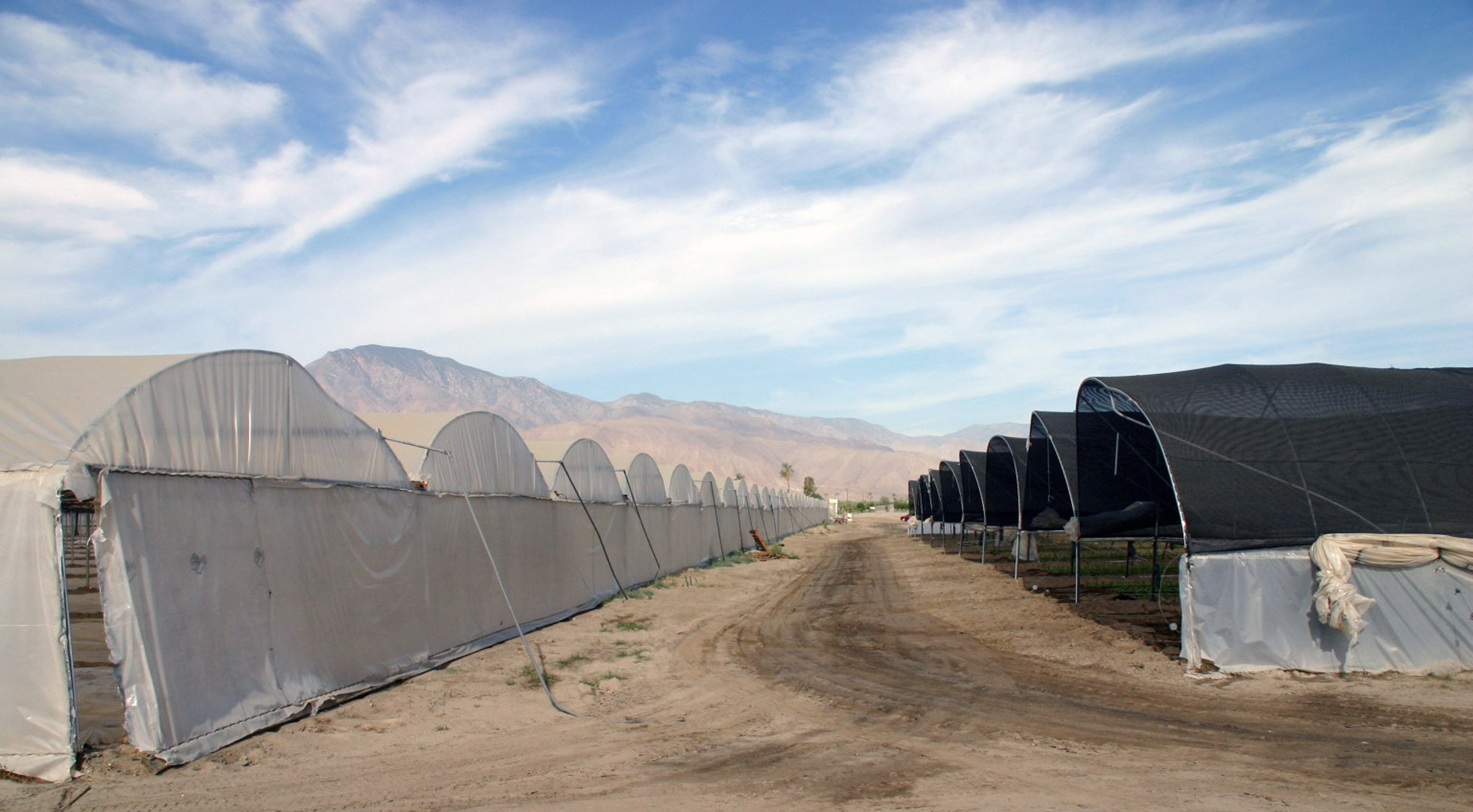 Hoop Houses Covered with Film & Shade