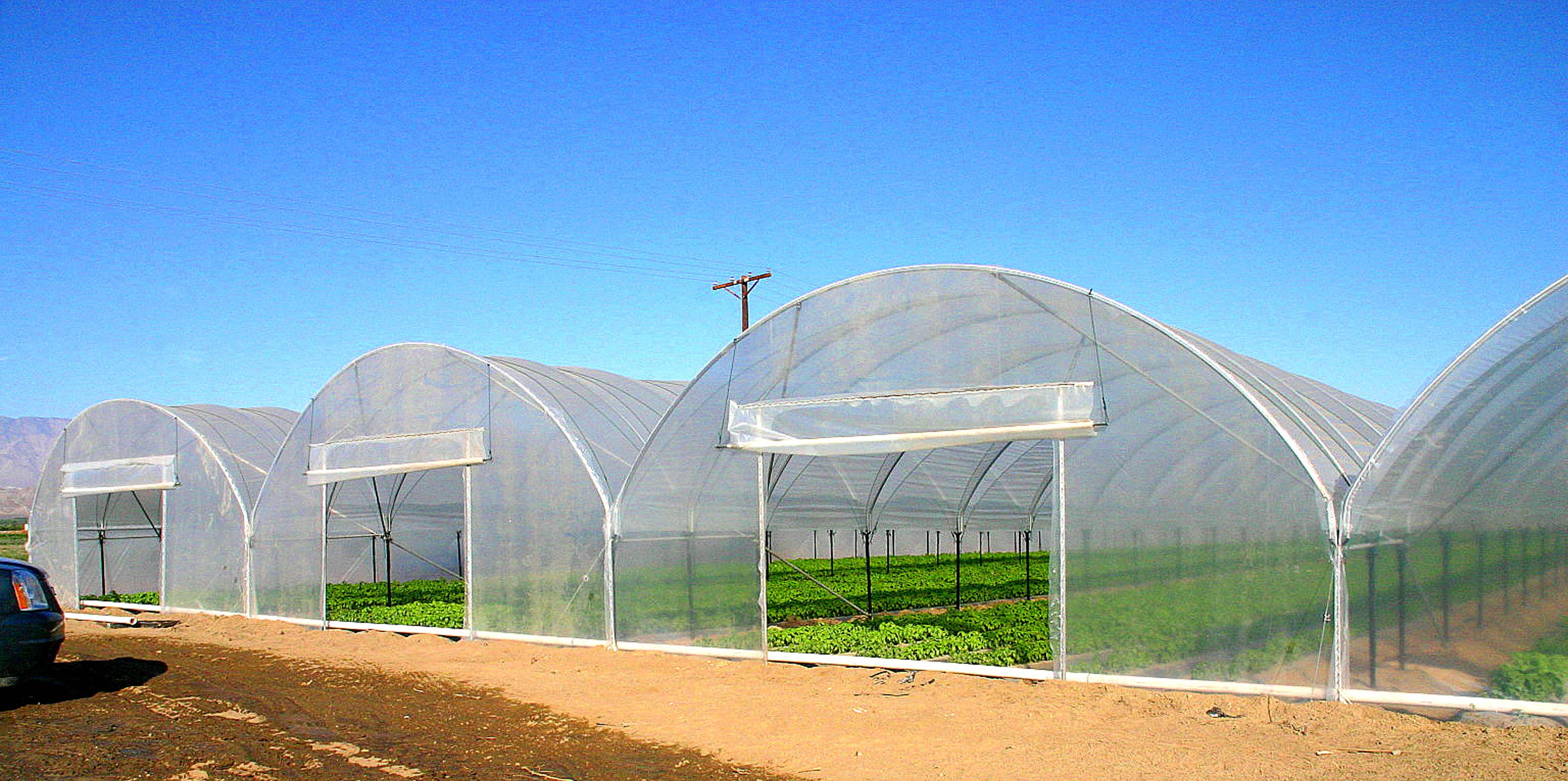 Conjoining Hoop Houses