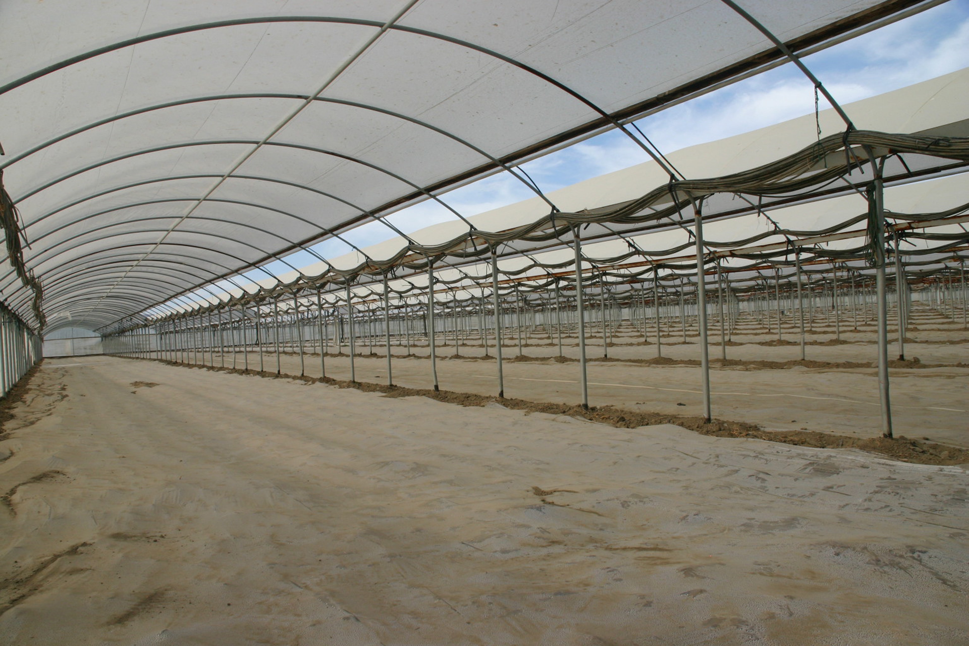 Greenhouse with Side Vent