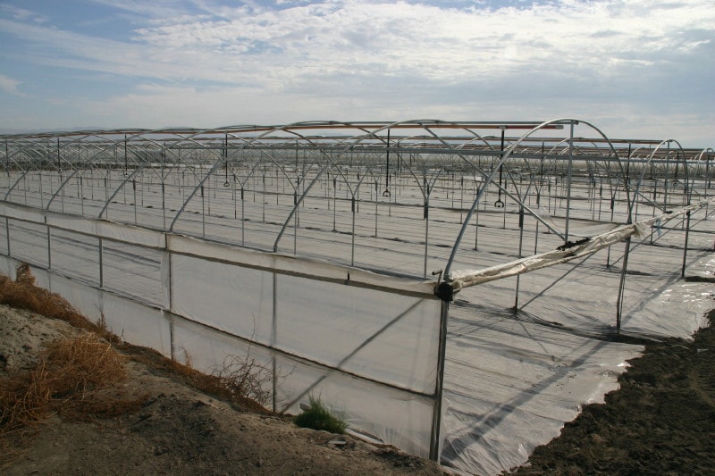 High Tunnel Frame