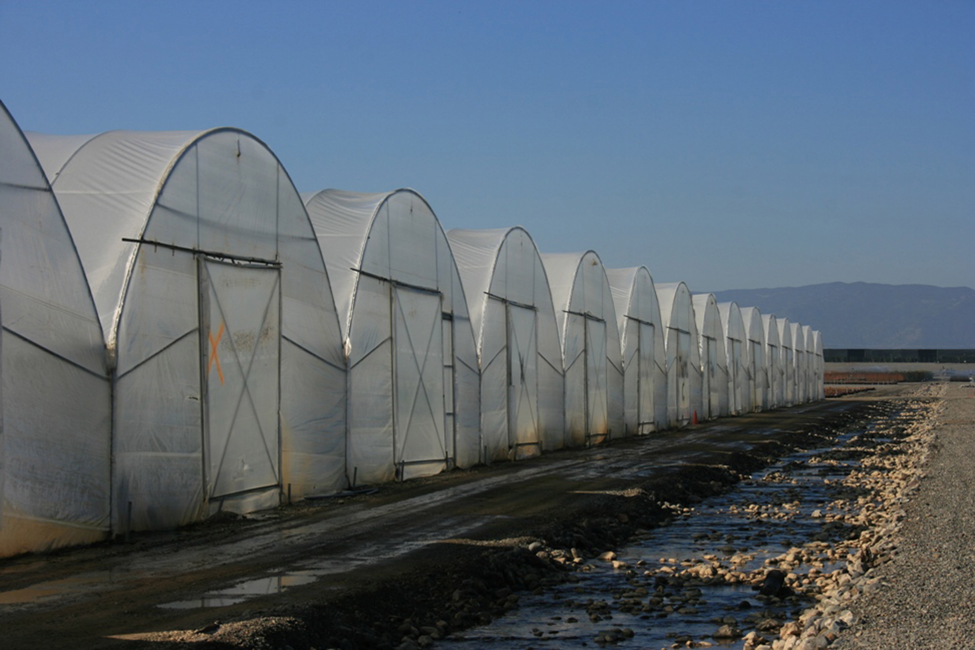 Hoop Houses
