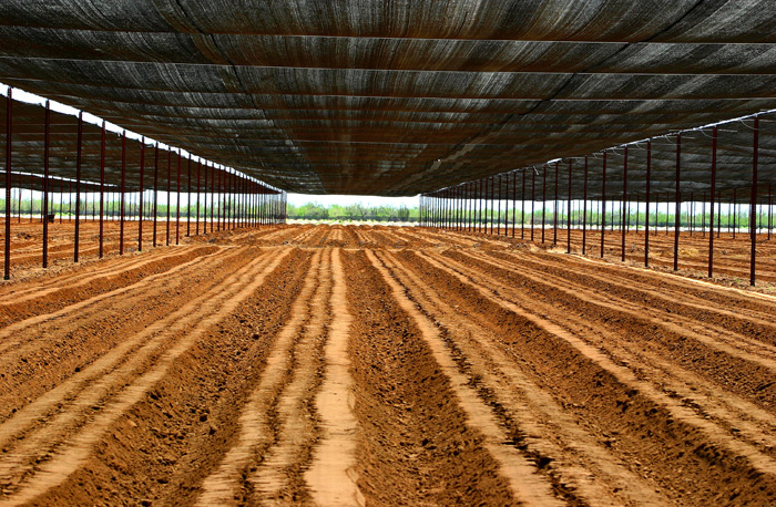 56 Acres Retractable Shade System.