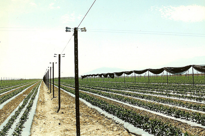 65' post spacings with Retractable Shade Structure.