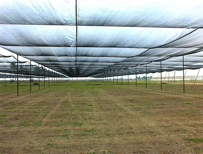 65' wide bay for 30% Retractable Shade Structure.