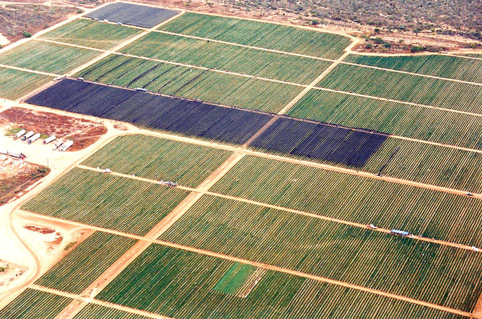 Aerial view of 40 Acres Shade construction in progress.