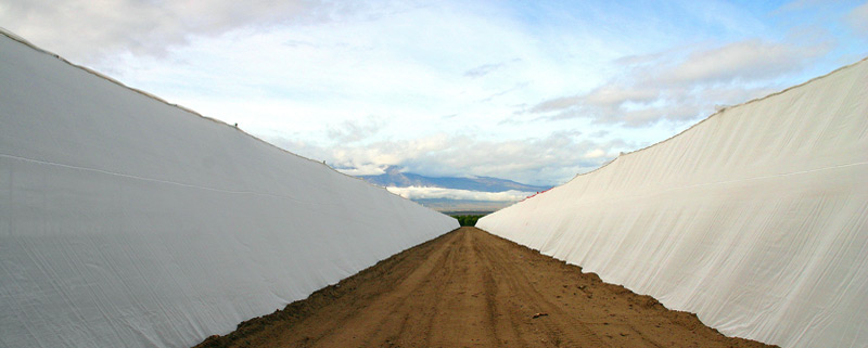 Insect Exclusion Screen Structures