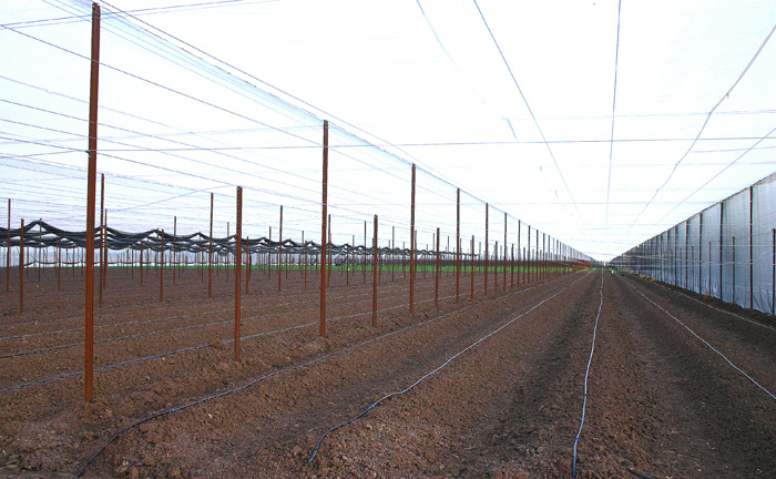 Interior of Screen Structure.