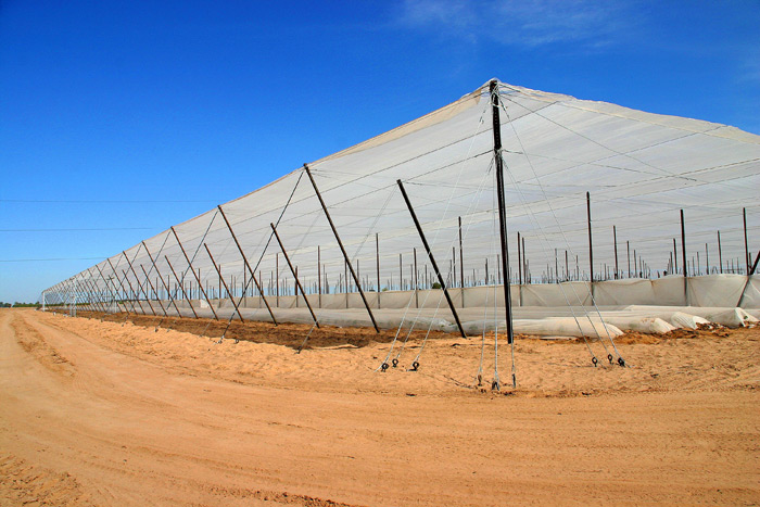 50 mesh Screen Structure before applying the sidewalls.