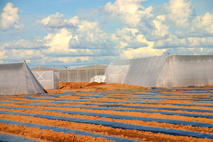 Overview of several Screen Structures.