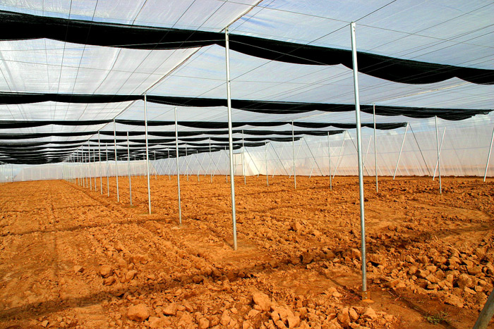 Screen Structure with Shade retracted 2.