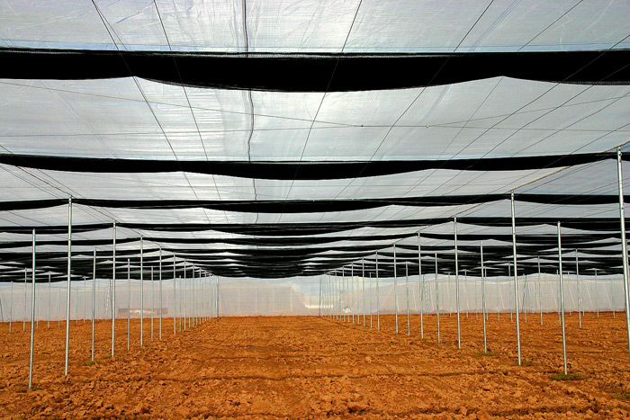 Screen Structure with Shade retracted.