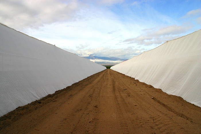 Screen Structures with exterior road.