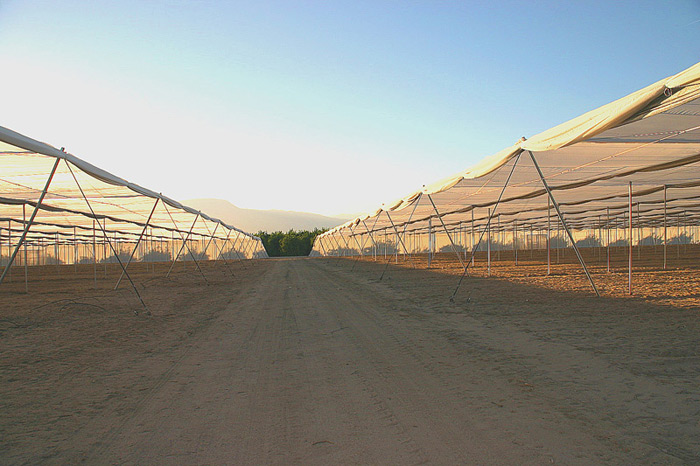 Two 10 Acres Structures side by side.