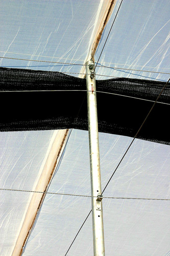 Detail - Interior Post with Overhead Trellis, Retractable Shade and fixed Screen.