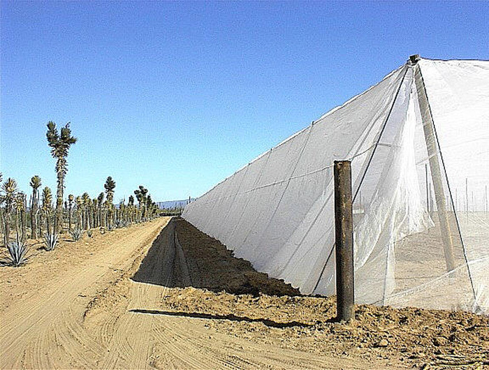 Exterior of a Screen Structure.