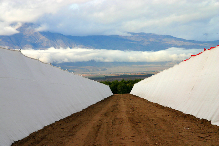 Exterior of Screen Structures.