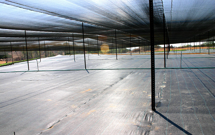 Nursery 40% Shade & Weed Barrier.