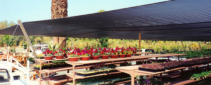Retail Nursery Shade with wooden poles.