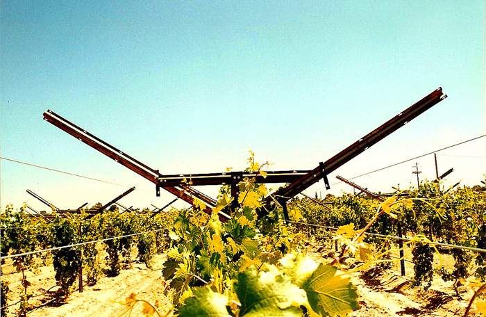Open Gable for Grapes.