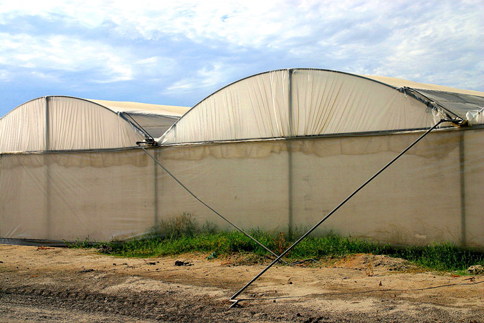 High Tunnels with Hand Crank for the opening of 3' top vent at the side on the arch.