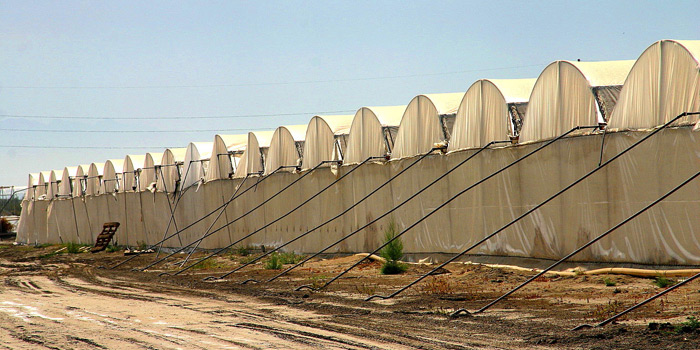 High Tunnels with Hand Crank to open top vents.