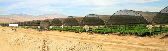 Shade Cloth replacing Poly Film (fold to the sides).