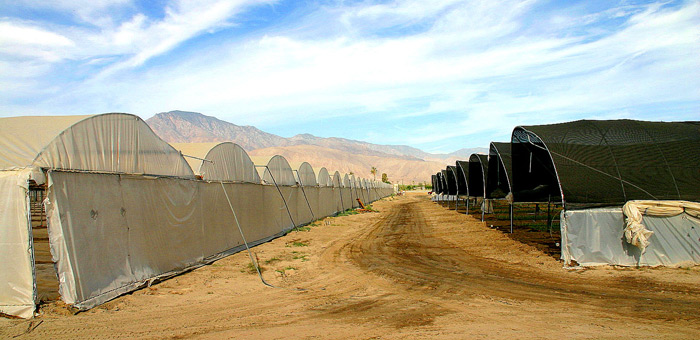 Two Types of Tunnels side by side.