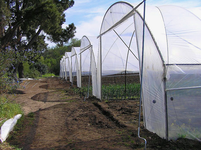 Conjoining Tunnels with Rollup Doors.