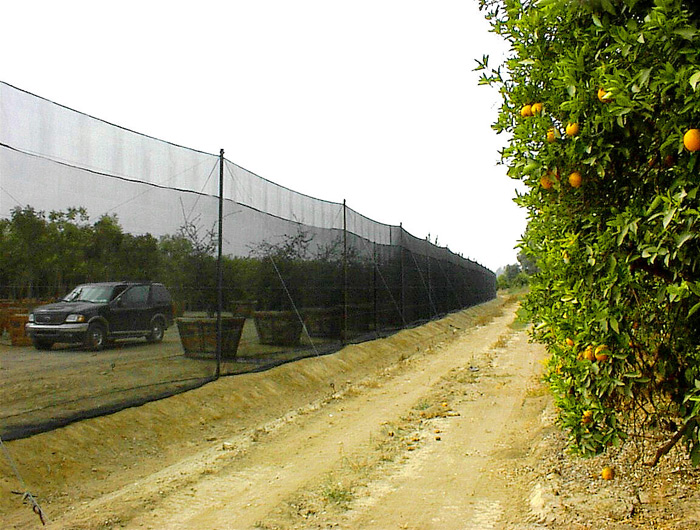 15' tall Insect Barrier.