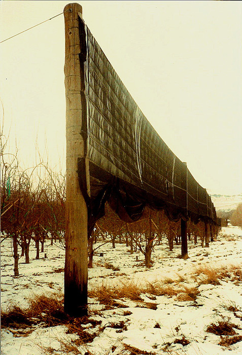 Vertical Windbreak with retractable bottom.
