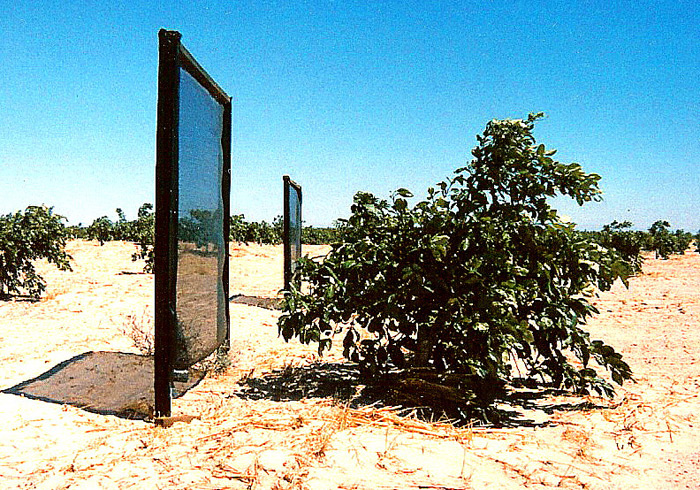 Individual Windbreaks.